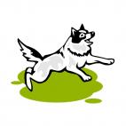 Husky jumping, decals stickers