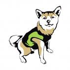 Husky with shirt, decals stickers
