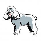 Poodle, decals stickers