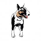 Boston bull terrier , decals stickers