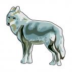 Coyote, decals stickers