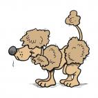Poodle drooling, decals stickers