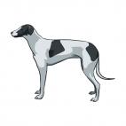 Greyhound, decals stickers