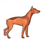 Greyhound, decals stickers