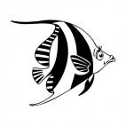 Female angelfish, decals stickers