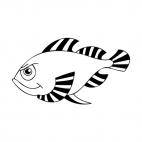 Angry fish, decals stickers