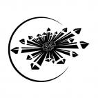 Starfish logo, decals stickers