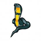 Cobra, decals stickers