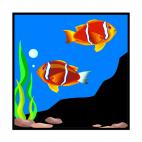 Red Clownfishes at sea bottom, decals stickers