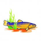 Fish underwater, decals stickers