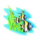 Angelfishes underwater, decals stickers