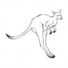 Kangaroo jumping, decals stickers