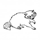 Raccoon, decals stickers