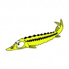 Long fish, decals stickers