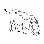 Wild boar, decals stickers