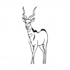 Gazelle, decals stickers