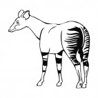 Baby zebra, decals stickers