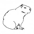 Guinea pig sitting down, decals stickers