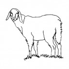 Sheep, decals stickers