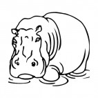 Hippopotamus standing in water, decals stickers