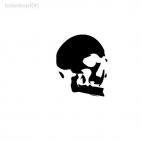 head skull horror, decals stickers