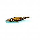 Orange striped seal , decals stickers