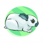 White and black rabbit, decals stickers