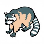 Raccoon, decals stickers