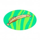 Brown fish underwater, decals stickers