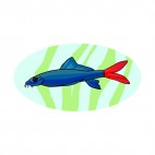 Blue with red tail fish underwater, decals stickers