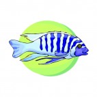 Blue stripped fish, decals stickers