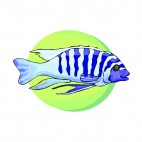 Blue stripped fish, decals stickers