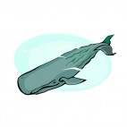 Cachalot underwater, decals stickers