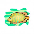 Orange clownfish, decals stickers