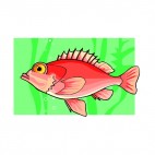 Red fish with big eye, decals stickers