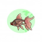 Black goldfish underwater, decals stickers