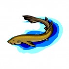 Brown fish shark underwater, decals stickers