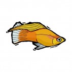 Orange platy, decals stickers