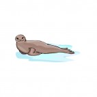 Brown seal standing on snow, decals stickers