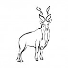 Mountain Gazelle, decals stickers