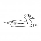 Duck swimming, decals stickers