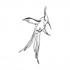 Hummingbird, decals stickers