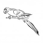 Perrot on a branch, decals stickers