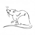 Rat looking up, decals stickers