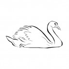 Swan swimming, decals stickers