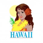 Hawaii state, decals stickers