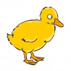 Yellow chick, decals stickers