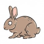 Brown rabbit, decals stickers