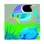 Blue angelfishes, decals stickers