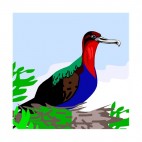 Muticolored bird sitting on nest, decals stickers